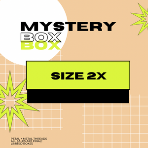 2X size mystery box