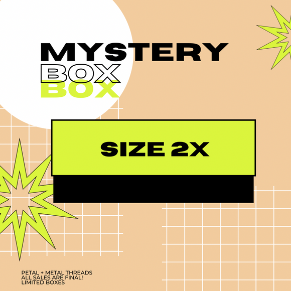 2X size mystery box